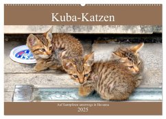 Kuba-Katzen - Auf Samtpfoten unterwegs in Havanna (Wandkalender 2025 DIN A2 quer), CALVENDO Monatskalender