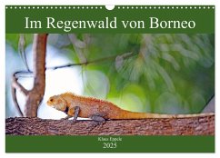 Im Regenwald von Borneo (Wandkalender 2025 DIN A3 quer), CALVENDO Monatskalender - Calvendo;Eppele, Klaus