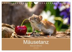 Mäusetanz (Wandkalender 2025 DIN A4 quer), CALVENDO Monatskalender - Calvendo;Geisdorf Photography, Linda