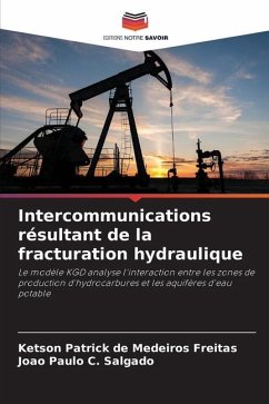 Intercommunications résultant de la fracturation hydraulique - de Medeiros Freitas, Ketson Patrick;C. Salgado, João Paulo