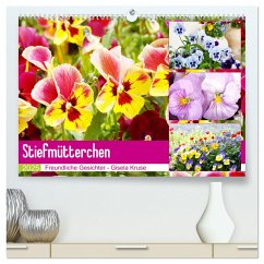 Stiefmütterchen Freundliche Gesichter (hochwertiger Premium Wandkalender 2025 DIN A2 quer), Kunstdruck in Hochglanz