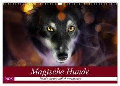 Magische Hunde - Hunde die uns täglich verzaubern (Wandkalender 2025 DIN A3 quer), CALVENDO Monatskalender