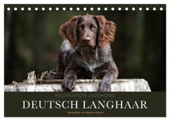 Faszination Jagdhund - Deutsch Langhaar (Tischkalender 2025 DIN A5 quer), CALVENDO Monatskalender