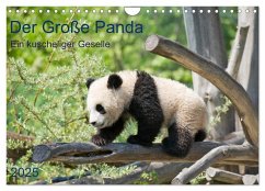 Der Große Panda Ein kuscheliger Geselle (Wandkalender 2025 DIN A4 quer), CALVENDO Monatskalender