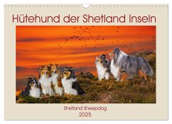 Hütehund der Shetland Inseln - Shetland Sheepdog (Wandkalender 2025 DIN A3 quer), CALVENDO Monatskalender - Calvendo;Starick, Sigrid