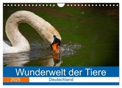 Wunderwelt der Tiere - Deutschland (Wandkalender 2025 DIN A4 quer), CALVENDO Monatskalender - Calvendo;Fritsche (Five-Birds Photography - www.5bp.de), Dirk