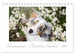 Herzensaussies - Australian Shepherd (Tischkalender 2025 DIN A5 quer), CALVENDO Monatskalender