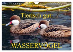 Tierisch gut: Wasservögel (Wandkalender 2025 DIN A4 quer), CALVENDO Monatskalender