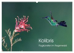 Kolibris - Flugkünstler im Regenwald (Wandkalender 2025 DIN A2 quer), CALVENDO Monatskalender