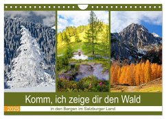 Komm, ich zeige dir den Wald (Wandkalender 2025 DIN A4 quer), CALVENDO Monatskalender - Calvendo;Kramer, Christa
