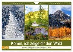 Komm, ich zeige dir den Wald (Wandkalender 2025 DIN A4 quer), CALVENDO Monatskalender