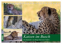 Katzen im Busch (Tischkalender 2025 DIN A5 quer), CALVENDO Monatskalender