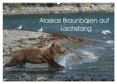 Grizzlybären im Katmai Nationalpark Alaska (Wandkalender 2025 DIN A2 quer), CALVENDO Monatskalender