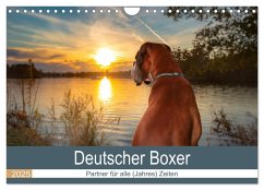 Deutscher Boxer (Wandkalender 2025 DIN A4 quer), CALVENDO Monatskalender