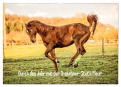 Durch das Jahr mit der Trakehner-Stute Fleur (Wandkalender 2025 DIN A2 quer), CALVENDO Monatskalender