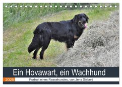 Ein Hovawart, ein Wachhund (Tischkalender 2025 DIN A5 quer), CALVENDO Monatskalender - Calvendo;Siebert, Jens