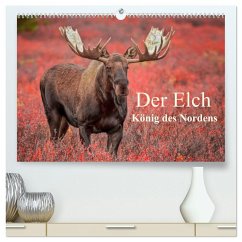 Der Elch - König des Nordens (hochwertiger Premium Wandkalender 2025 DIN A2 quer), Kunstdruck in Hochglanz