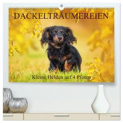 Dackelträumereien - Kleine Helden auf 4 Pfoten (hochwertiger Premium Wandkalender 2025 DIN A2 quer), Kunstdruck in Hochglanz