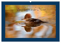 Spiegelungen in der Natur (Wandkalender 2025 DIN A2 quer), CALVENDO Monatskalender - Calvendo;Erlwein, Winfried