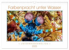 Farbenpracht unter Wasser (Wandkalender 2025 DIN A3 quer), CALVENDO Monatskalender