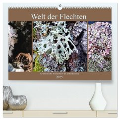 Welt der Flechten (hochwertiger Premium Wandkalender 2025 DIN A2 quer), Kunstdruck in Hochglanz