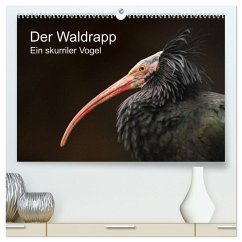 Der Waldrapp - Ein skurriler Vogel (hochwertiger Premium Wandkalender 2025 DIN A2 quer), Kunstdruck in Hochglanz - Calvendo;the Snow Leopard, Cloudtail