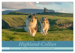 Highland-Collies - Auf vier Pfoten durch Schottland und Irland (Wandkalender 2025 DIN A3 quer), CALVENDO Monatskalender