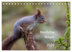 Niedliche Nager (Tischkalender 2025 DIN A5 quer), CALVENDO Monatskalender