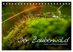 Der Zauberwald - Detailaufnahmen (Tischkalender 2025 DIN A5 quer), CALVENDO Monatskalender
