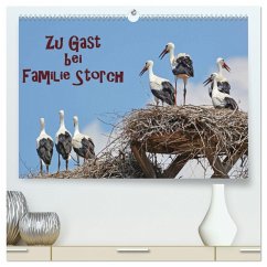 Zu Gast bei Familie Storch (hochwertiger Premium Wandkalender 2025 DIN A2 quer), Kunstdruck in Hochglanz
