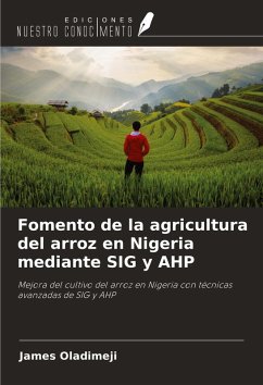 Cover Fomento de la agricultura del arroz en Nigeria mediante SIG y AHP