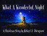 What a Wonderful Night (eBook, ePUB) - Bild 1