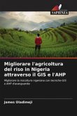 Migliorare l'agricoltura del riso in Nigeria attraverso il GIS e l'AHP