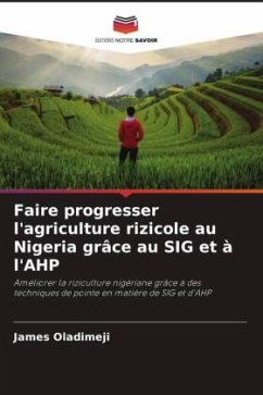 Faire progresser l'agriculture rizicole au Nigeria grâce au SIG et à l'AHP - Oladimeji, James