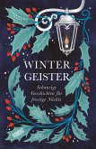Wintergeister (eBook, ePUB)
