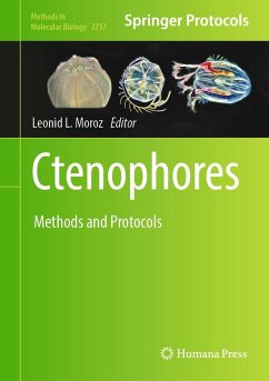 Ctenophores (eBook, PDF)