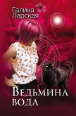 Vedmina voda (eBook, ePUB)