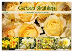Gelbes Strahlen Blütenbilder (Wandkalender 2025 DIN A2 quer), CALVENDO Monatskalender