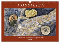 Fossilien - Ammoniten, Trilobiten, Erdgeschichte (Wandkalender 2025 DIN A3 quer), CALVENDO Monatskalender