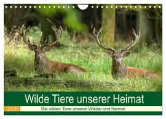 Wilde Tiere unserer Heimat (Wandkalender 2025 DIN A4 quer), CALVENDO Monatskalender