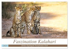 Faszination Kalahari (Wandkalender 2025 DIN A2 quer), CALVENDO Monatskalender