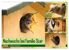 Nachwuchs bei Familie Star (Wandkalender 2025 DIN A2 quer), CALVENDO Monatskalender - Calvendo;Hultsch, Heike