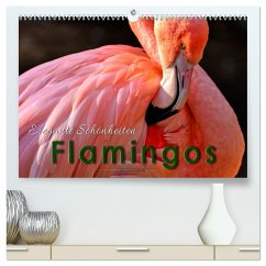 Flamingos - elegante Schönheiten (hochwertiger Premium Wandkalender 2025 DIN A2 quer), Kunstdruck in Hochglanz