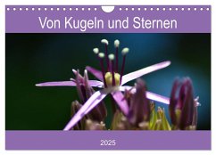 Von Kugeln und Sternen (Wandkalender 2025 DIN A4 quer), CALVENDO Monatskalender - Calvendo;Kull, Isabell