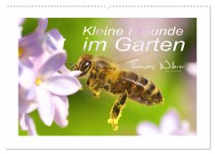 Kleine Freunde im Garten (Wandkalender 2025 DIN A2 quer), CALVENDO Monatskalender - Calvendo;Willerer, Thomas