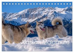 Alaskan Malamute in seinem Element (Tischkalender 2025 DIN A5 quer), CALVENDO Monatskalender - Calvendo;wuffclick-pic