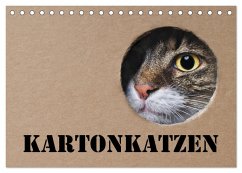 Karton Katzen (Tischkalender 2025 DIN A5 quer), CALVENDO Monatskalender