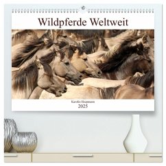 Wildpferde Weltweit (hochwertiger Premium Wandkalender 2025 DIN A2 quer), Kunstdruck in Hochglanz