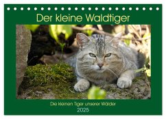 Der kleine Waldtiger (Tischkalender 2025 DIN A5 quer), CALVENDO Monatskalender