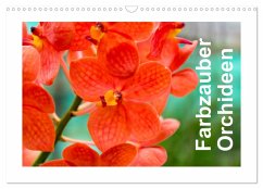 Farbzauber Orchideen (Wandkalender 2025 DIN A3 quer), CALVENDO Monatskalender - Calvendo;Paul - Babett's Bildergalerie, Babett